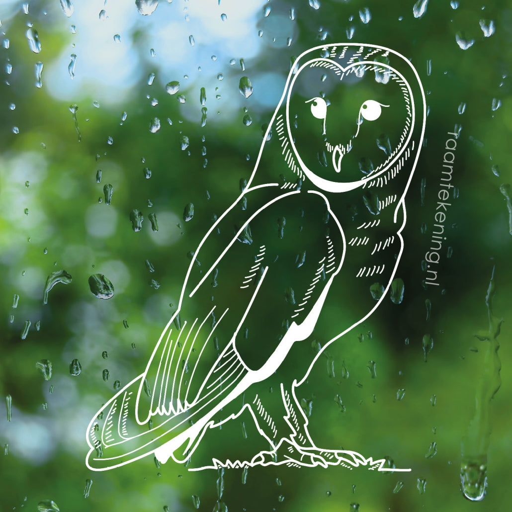 Kerkuil Raamtekening kerkuil-raamtekening