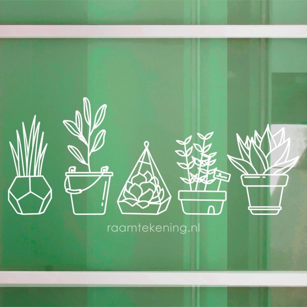 Potplanten raamtekening